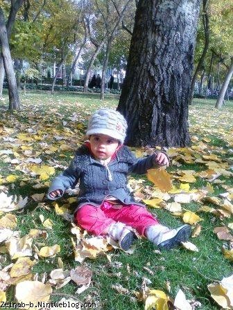 چه برگ قشنگی!! چه برگ قشنگی!!