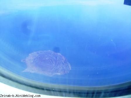 نمایی ازز جزیره از شیشه هواپیما