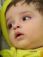 امیررضا شاکری