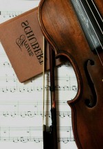 🎻✨My Weblog
