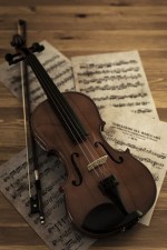 𝕧𝕚𝕠𝕝𝕚𝕟🎻