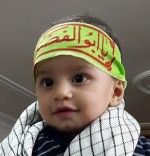 محمد مهدی