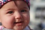 نیکا نویدی