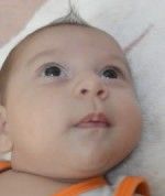 سینا