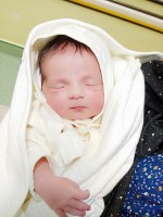 سوفیا اکبری