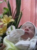 ابوالفضل
