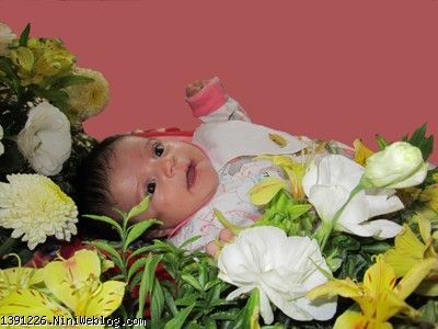 عکس روز پا تختی