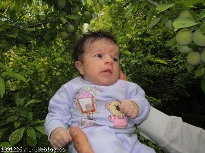 عکس باغ عمه زهرا