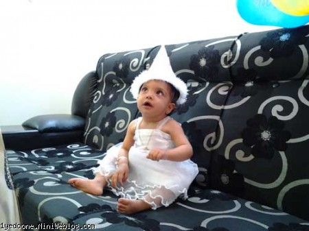 تولد نهال