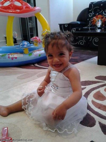 تولد نهال