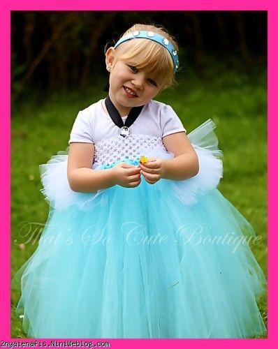 Cinderella Inspired Tutu Dress