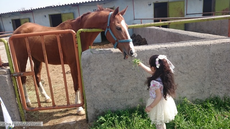 عروسک قشنگم امروز درپیست اسب سواری