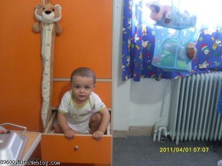 فدات بشم