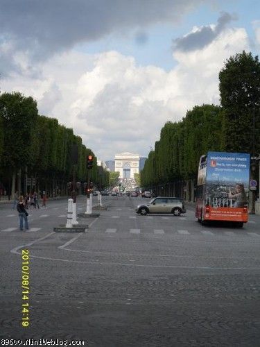 درختان معروف خیابان شانزه لیزه و آرگ تریمف