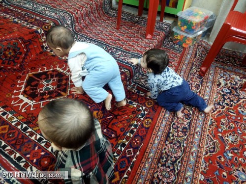 ۱۲ ماهگی آقا علیسان