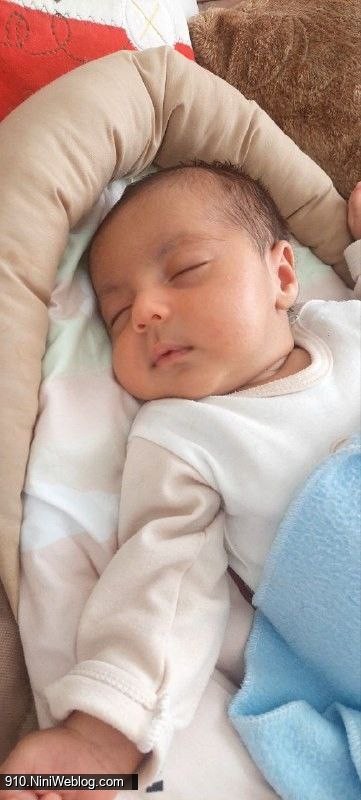 🎂✨تولد یک سالگی علیسانِ نازنینِ ما ✨🎂