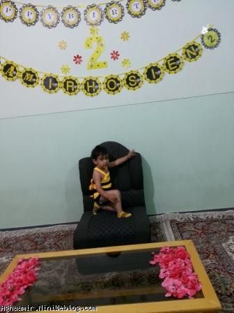تولد زنبوری امیرحسین