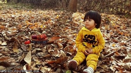 به رنگ پاییز