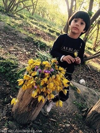 یک روز قشنگ بهاری