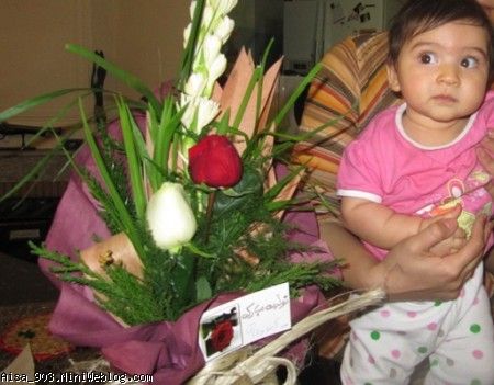 تولد مامان