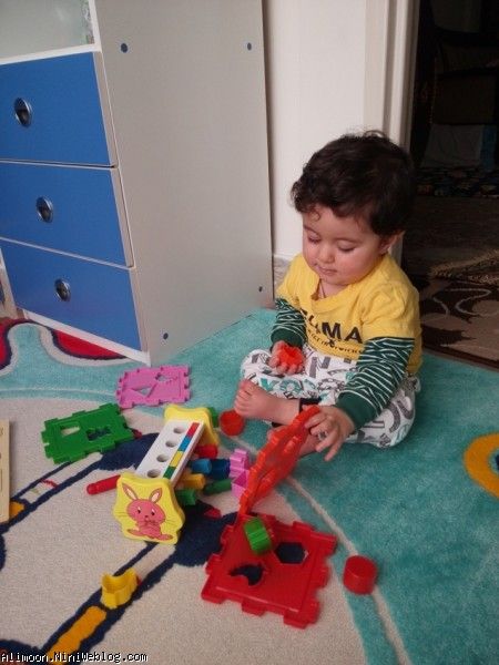 بازیکن حرفه ای