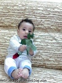 6 ماه و 23 روز