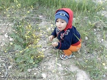 1سال6ماه3روز