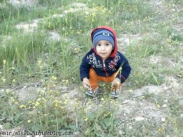 ای جاااان