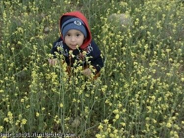 چه ناز شدی گلکم