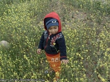یه هفته مونده به عید 93