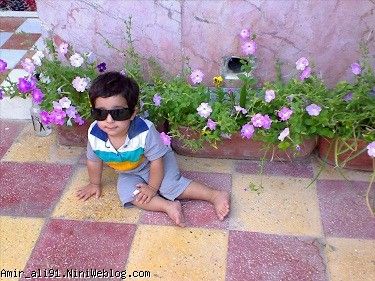 1 سال و 8 ماه و 18روز