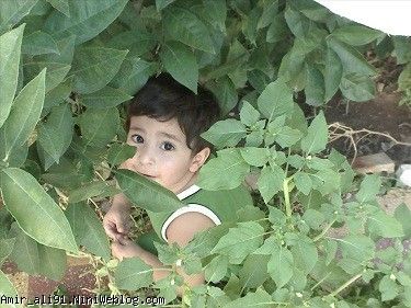 عشق منی