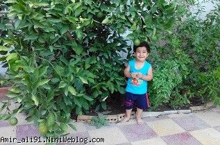 1 سال و 11 ماه