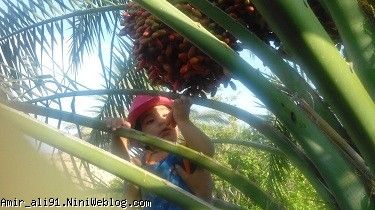 باغ بابا صفر