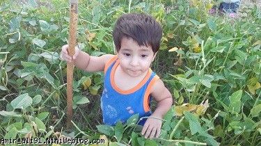 شهریور 93
