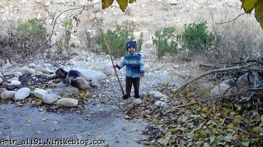 2 سال و 2 ماه