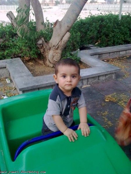 10 ماه و 15 روز