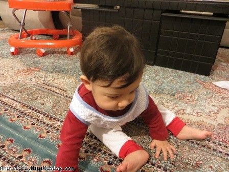 امیرعلی