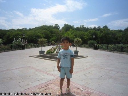 تبریز