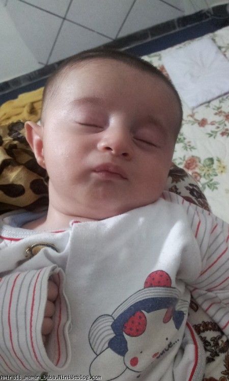 لبای غنچه قبل از خواب
