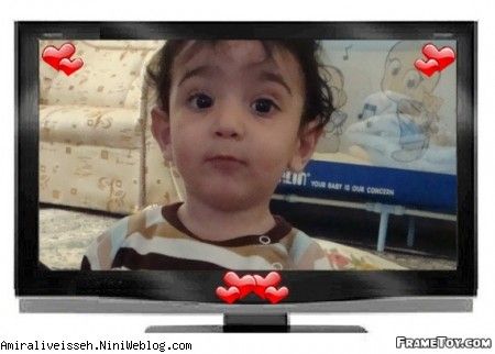 دوازده ماهگی جیگر طلا
