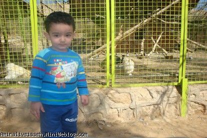 مامان دورت بگرده