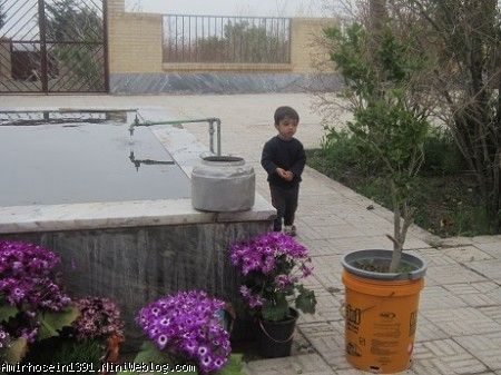 13 بدر93