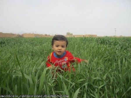 مامانی