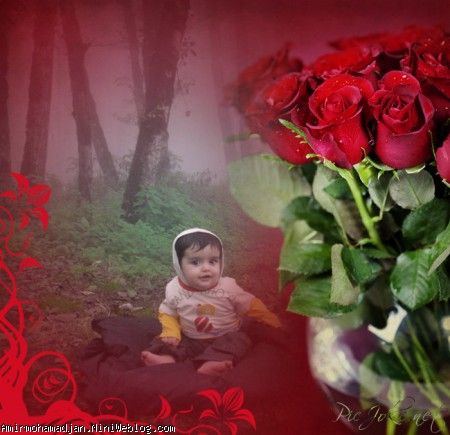 امیرمحمد با مامان رفته شمال مهر89
