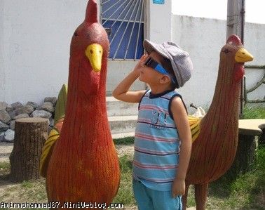 بهنمیر