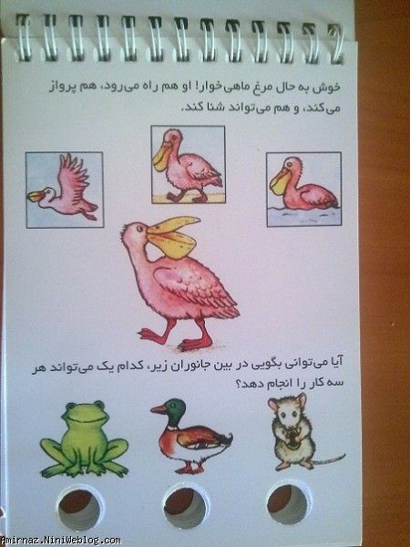 امیرم
