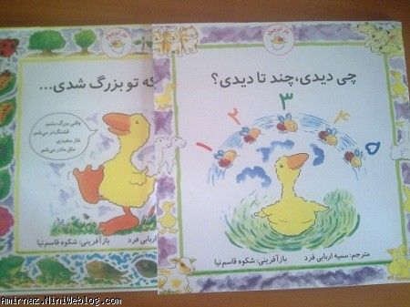 امیرنازم