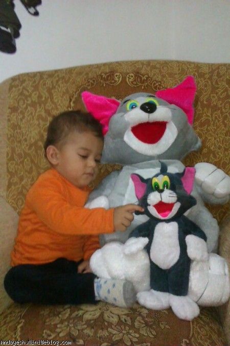 آقا ابوالفضل در  حال بازی با گربه هاش