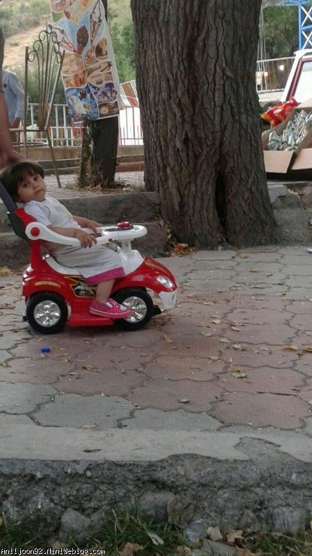 آنیل در پارک مشکین شهر